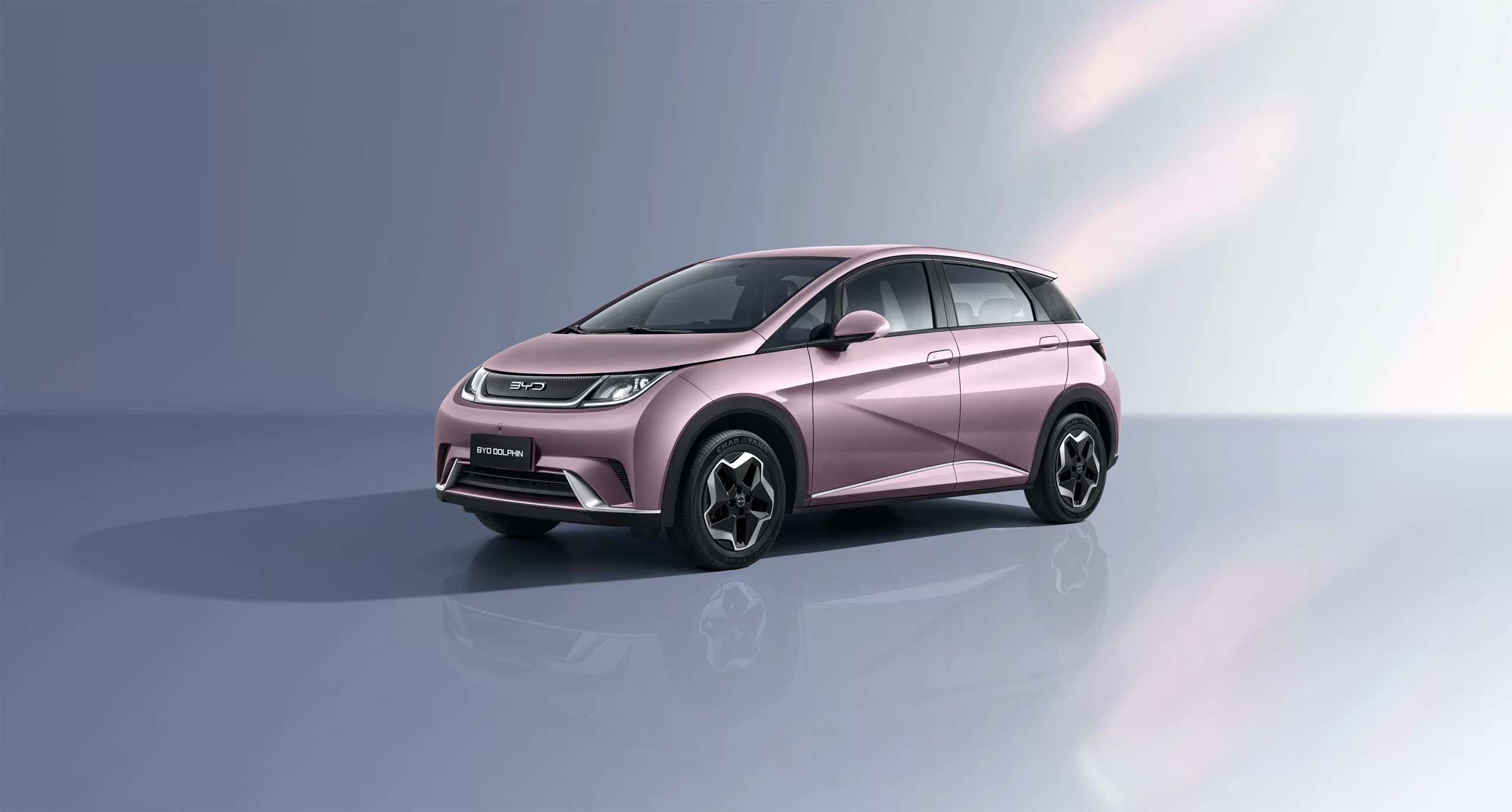 BYD M6